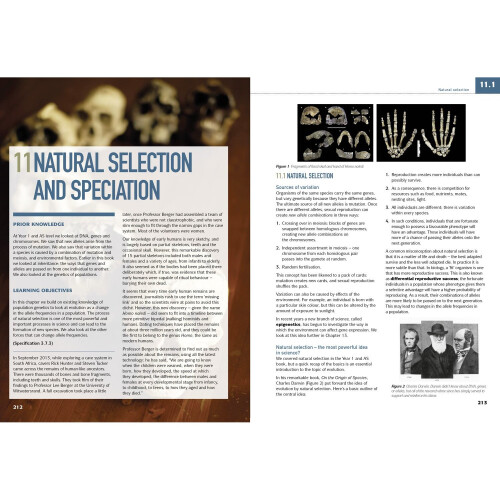 AQA A Level Biology Year 2 Student Book (AQA A Level Science) 2