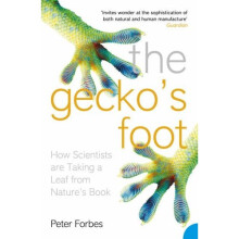 The Gecko's Foot: How Scientists are Taking a Leaf from Nature's Book