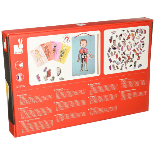 Janod JANOD - Body Magnet L'Anatomie - 12 talen - Vanaf 7 jaar 1