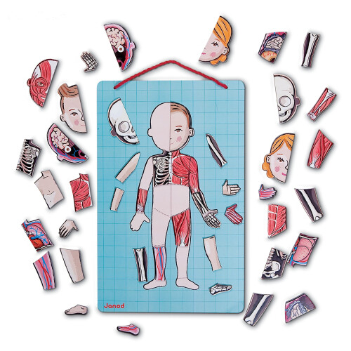 Janod JANOD - Body Magnet L'Anatomie - 12 talen - Vanaf 7 jaar 2