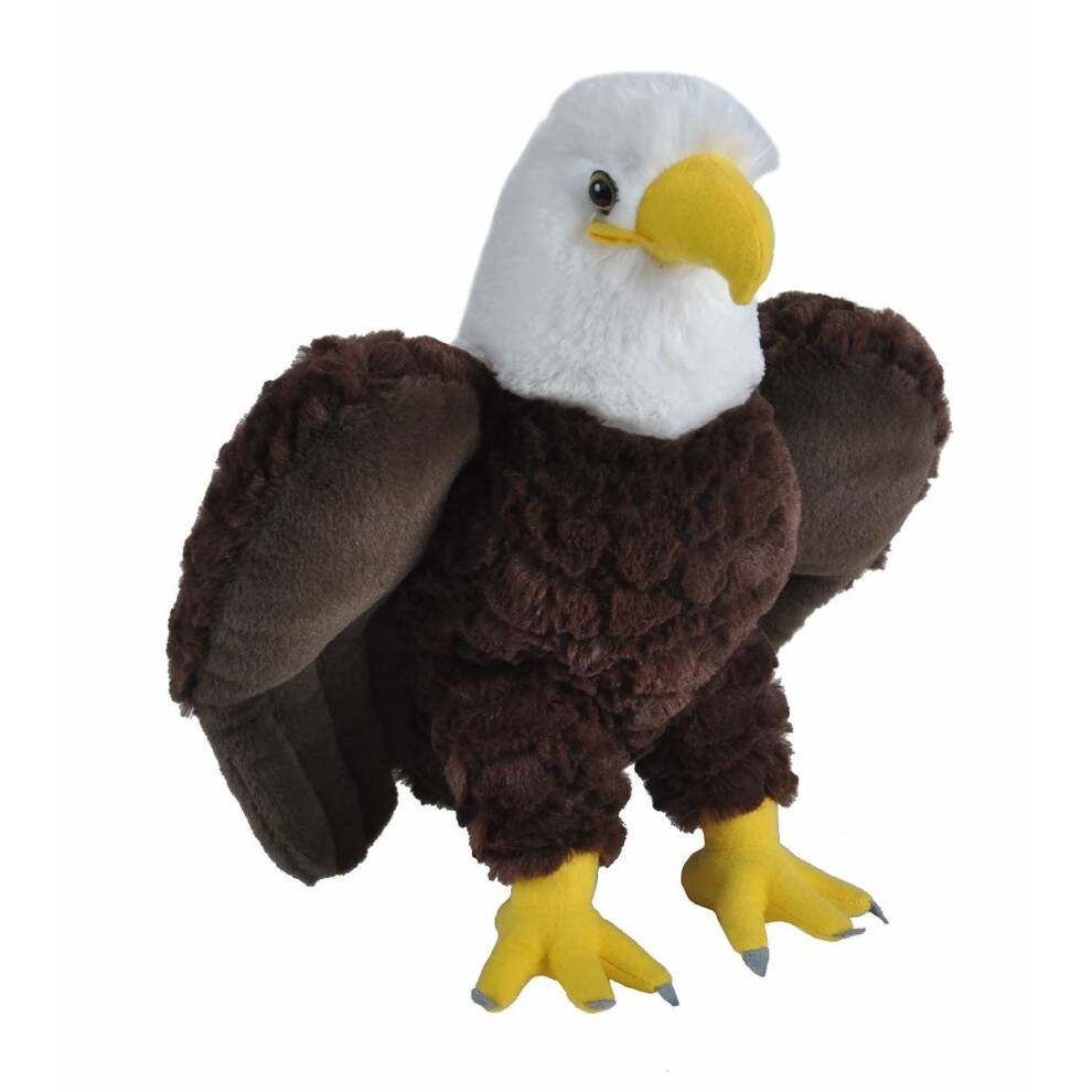 Wild Republic Bald Eagle Plush Soft Toy, Cuddlekins Cuddly Toys, Gifts for Kids 30cm