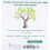 Tap the Magic Tree Board Book 3