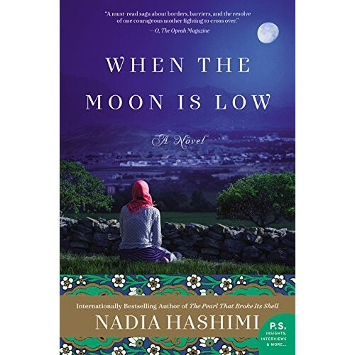 When the Moon Is Low: A Novel