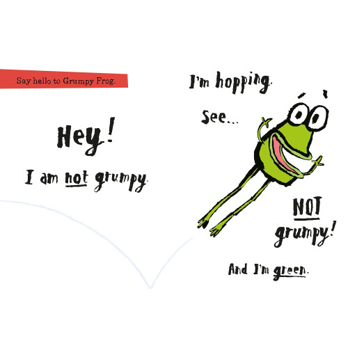 Grumpy Frog 2