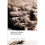 Phineas Redux n/e (Oxford World's Classics) 1