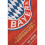 Bayern: Creating a Global Superclub 2