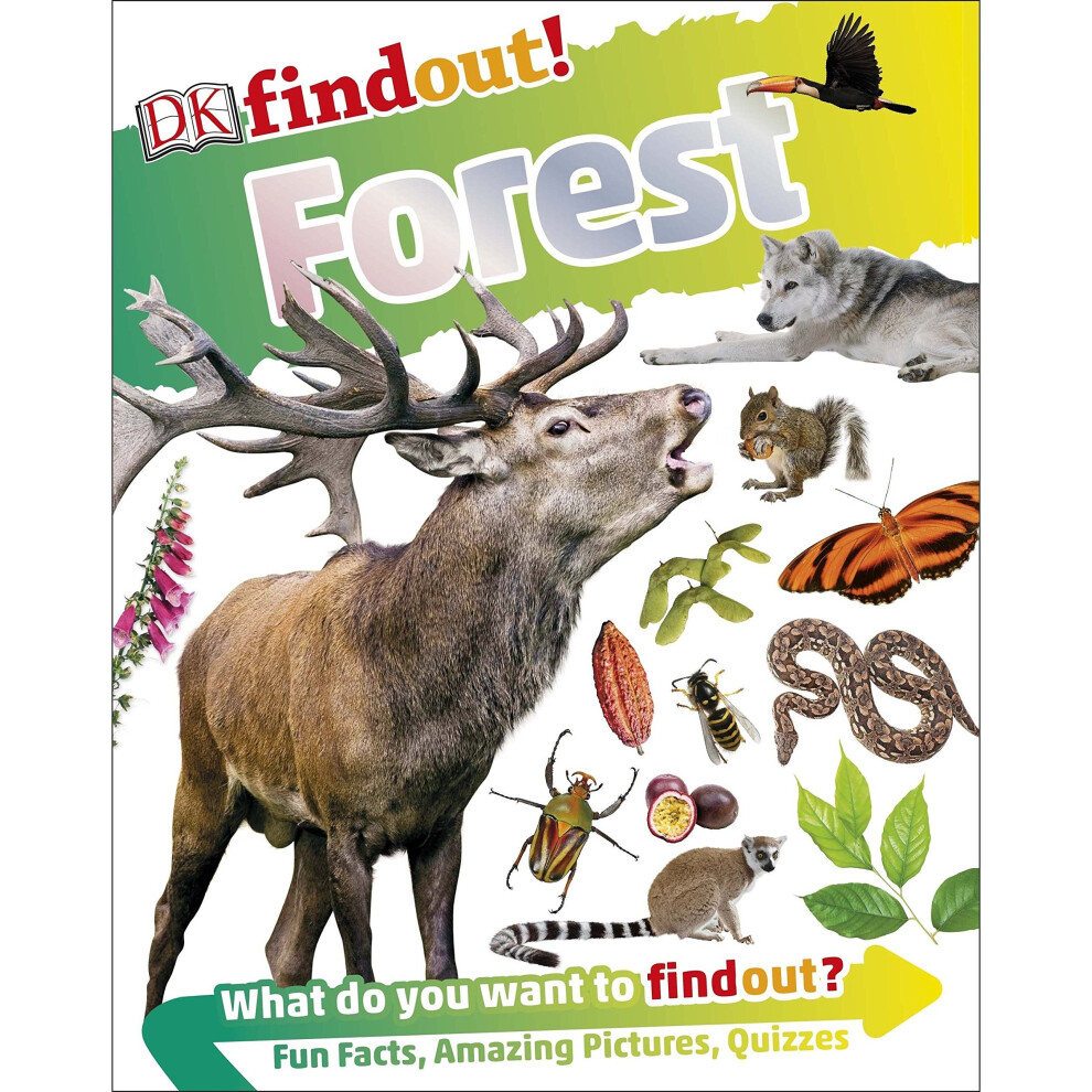 Forest (DKfindout!)