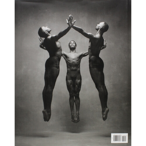 The Art Of Movement 2