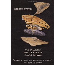 Stream System: The Collected Short Fiction of Gerald Murnane