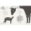 Animals of a Bygone Era: An Illustrated Compendium 6
