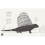 Animals of a Bygone Era: An Illustrated Compendium 4