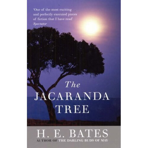 The Jacaranda Tree