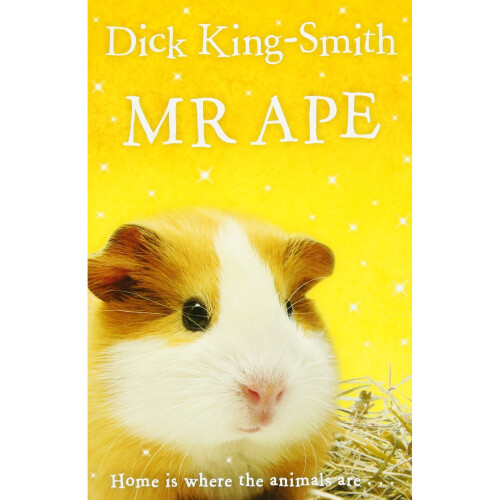 Mr Ape