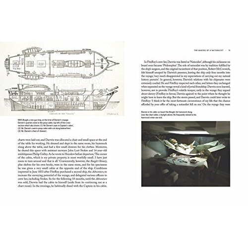 Darwin's Fossils: Discoveries that shaped the theory of evolution 2