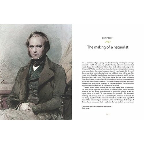 Darwin's Fossils: Discoveries that shaped the theory of evolution 1