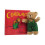 Corduroy Book and Bear 4