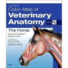 Color Atlas of Veterinary Anatomy, Volume 2, The Horse, 2e