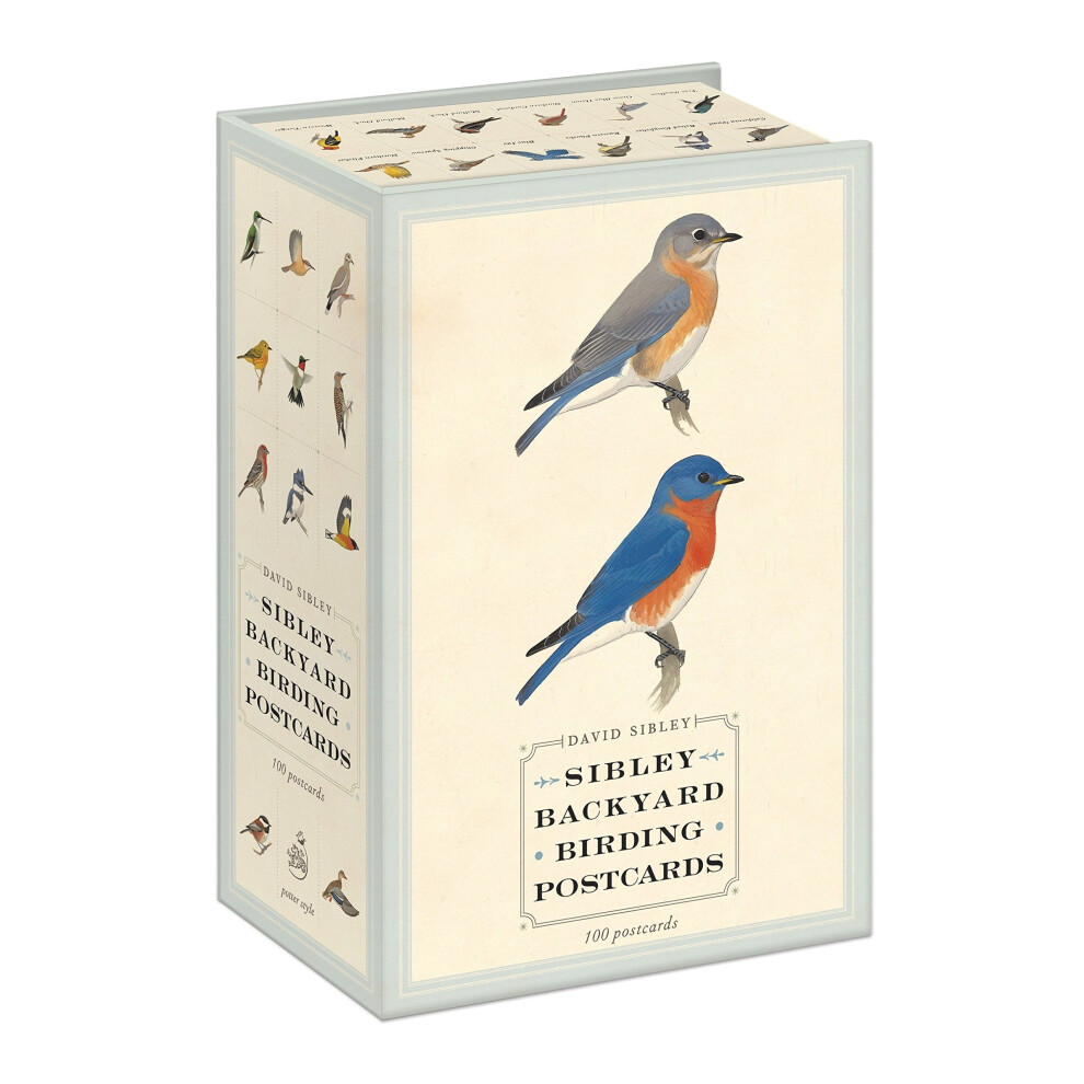 Isdp Sibley Backyard Birding Postcards