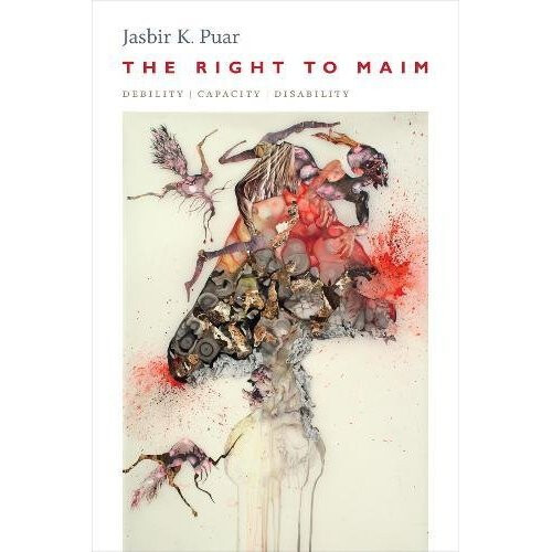 The Right to Maim: Debility, Capacity, Disability (ANIMA: Critical Race Studies Otherwise)