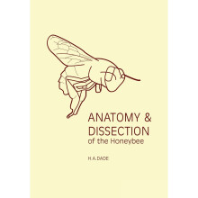 Anatomy and Dissection of the Honeybee