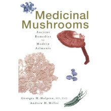 Medicinal Mushrooms: Ancient Remedies for Modern Ailments
