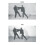 Bruce Lee's Fighting Method 2