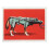 Soviet Space Dogs 11
