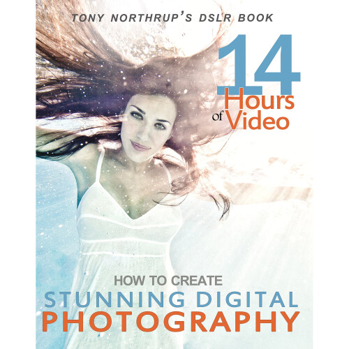 Tony Northrup's Dslr Book: How To Create Stunning Digital Photography ...