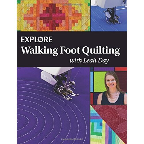 Explore Walking Foot Quilting with Leah Day: Volume 1 (Explore Machine Quilting)