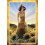 Chakra Insight Oracle: A Transformational 49-card deck 6