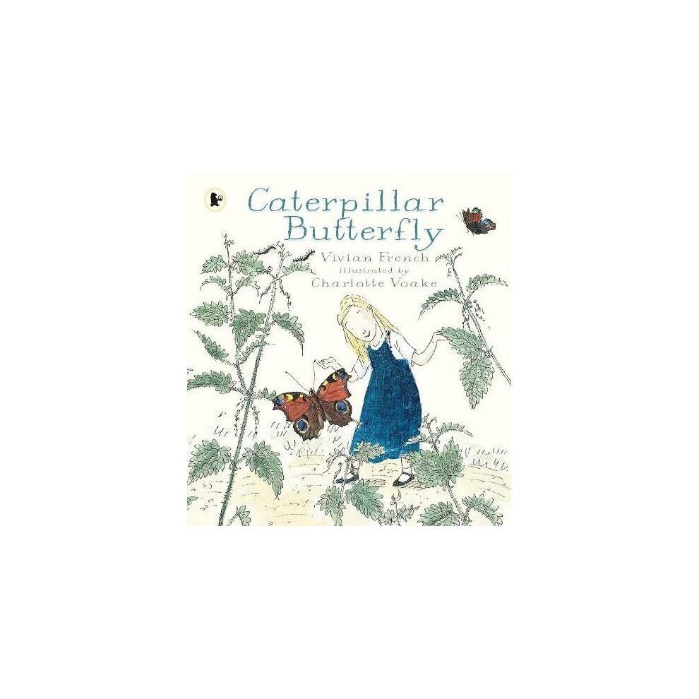 Caterpillar Butterfly (Our Stories)