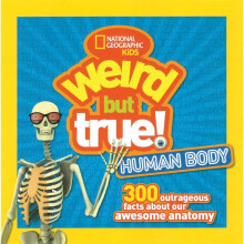 Weird But True! Human Body: 300 Outrageous Facts about Your Awesome Anatomy (Weird But True )
