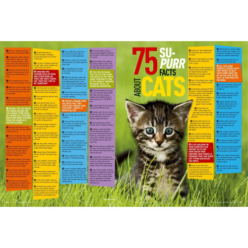 5,000 Awesome Facts (About Everything!) 2 (5,000 Awesome Facts ) 2