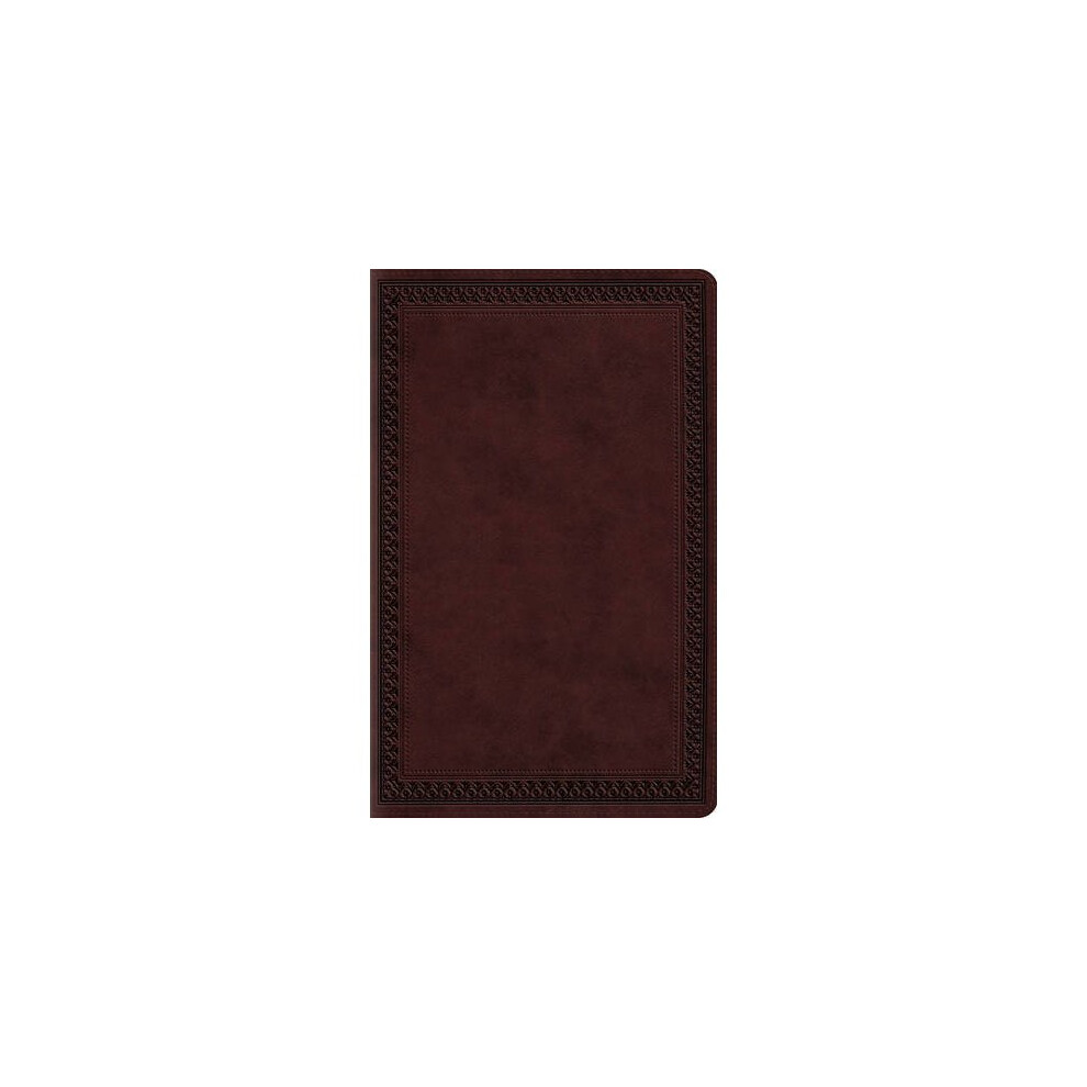 ESV Large Print Value Thinline Bible