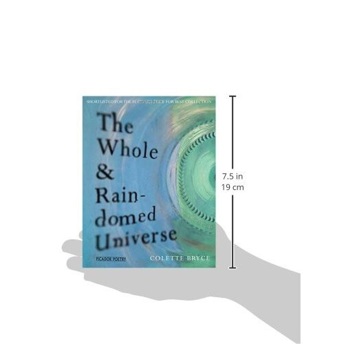 The Whole & Rain-domed Universe 2