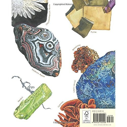 A Rock Is Lively (Nature Books) 2
