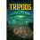 When the Tripods Came (Tripods (Paperback)) 1