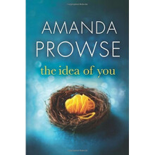 The Idea of You