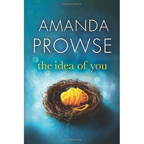The Idea of You