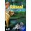 Disney Rascal [DVD] [1969] 1