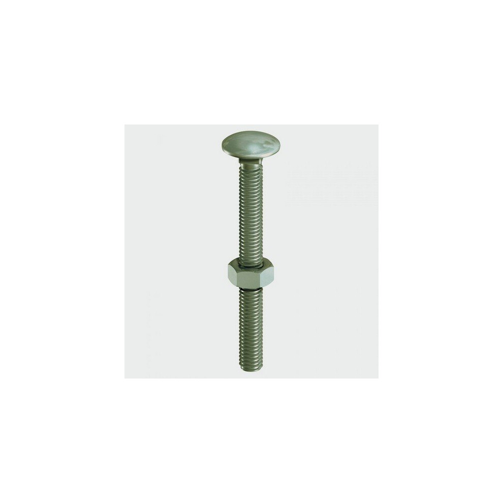 TIMco 10220INCB Index Carriage Bolt,Nut+Washer Green 10.0 x 220mm Bag of 10