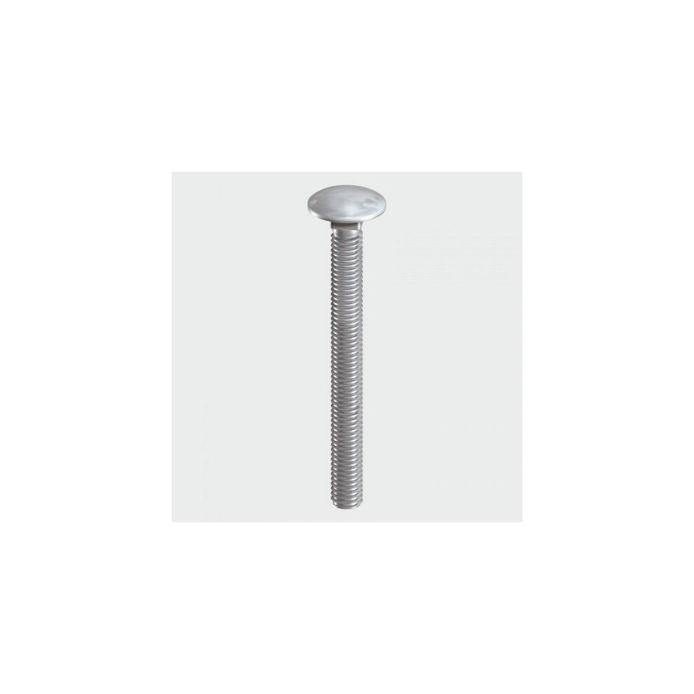 TIMco 0650CBSSX Carriage Bolt SS 6.0 x 50mm Bag of 10