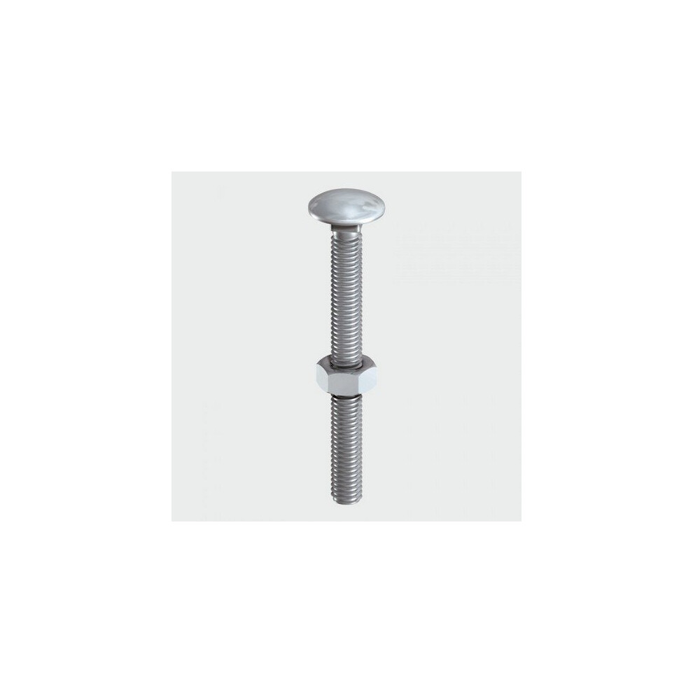 TIMco 12100CBSSP Carriage Bolt SS 12 x 100mm Bag of 2