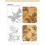 Woodburning Project & Pattern Treasury: Create Your Own Pyrography Art with 70 Mix-and-match Designs 5