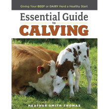 ESSENTIAL GUIDE TO CALVING: Giving Your Beef and Dairy Herd a Healthy Start