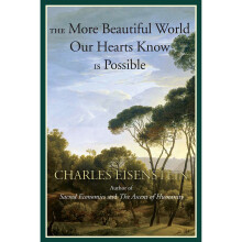 The More Beautiful World Our Hearts Know is Possible (Sacred Activism)