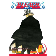 Bleach: v. 6