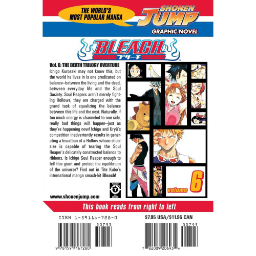 Bleach: v. 6 1