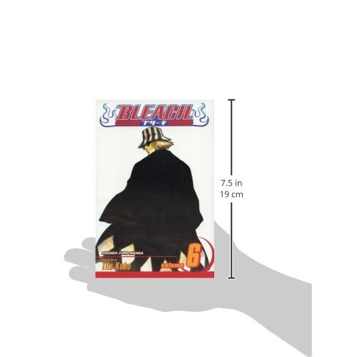 Bleach: v. 6 2