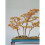 Literati Style Penjing: Chinese Bonsai Masterworks 3
